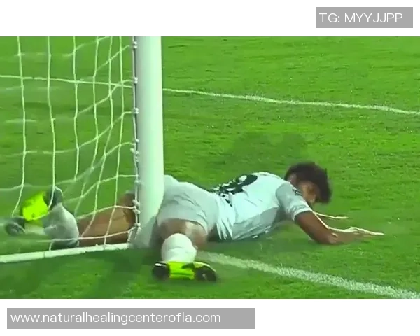 拉亚神勇扑救单刀后失误瞬间队友及时提醒助其找回球权